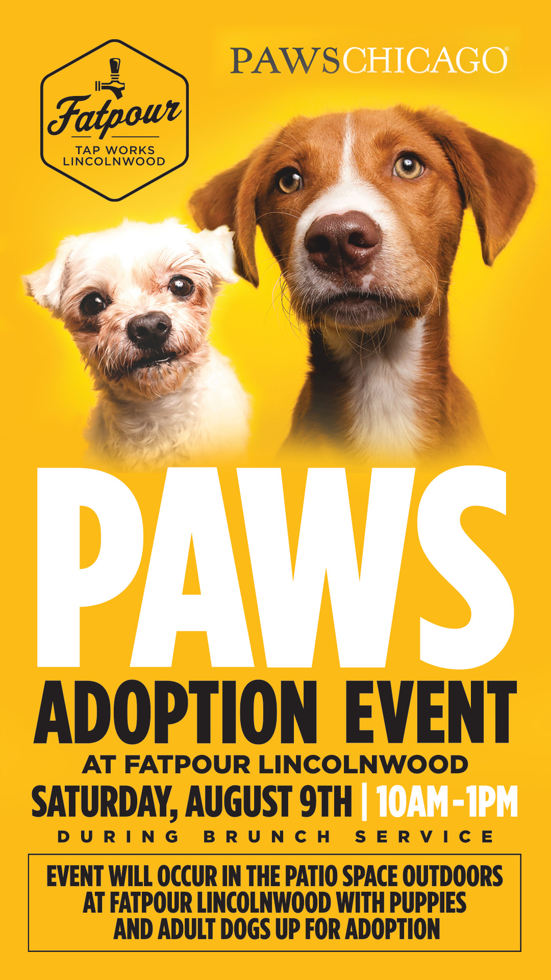 PAWS Adoption Event at Fatpour Lincolnwood